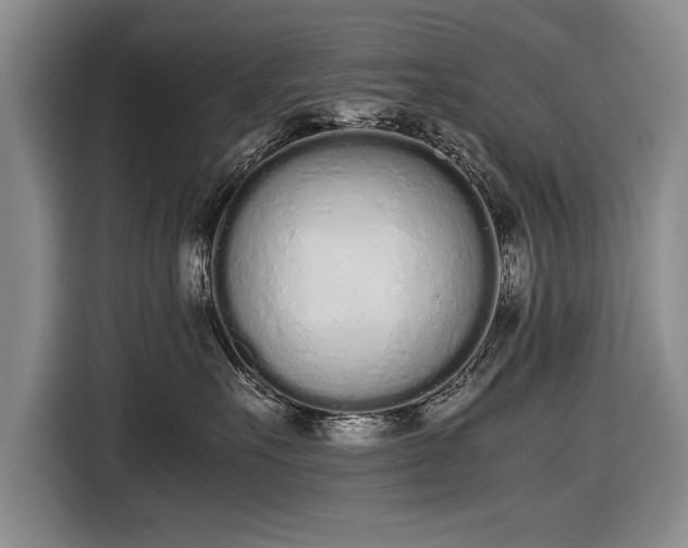 X0000116600527200912181148