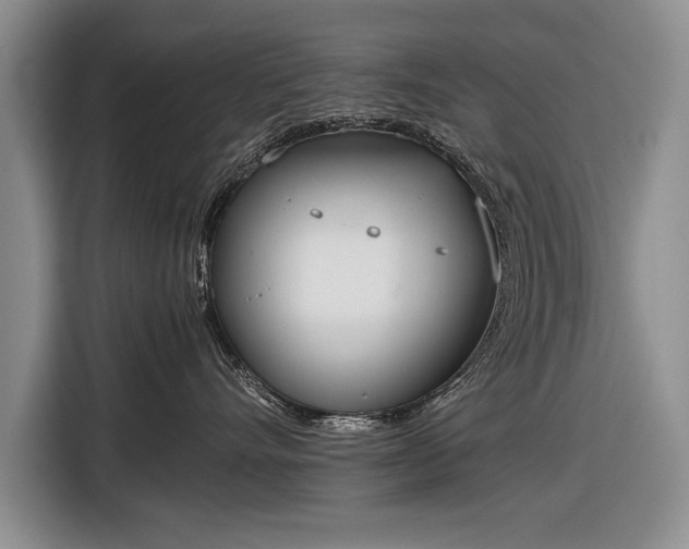 X0000116600528200912181148