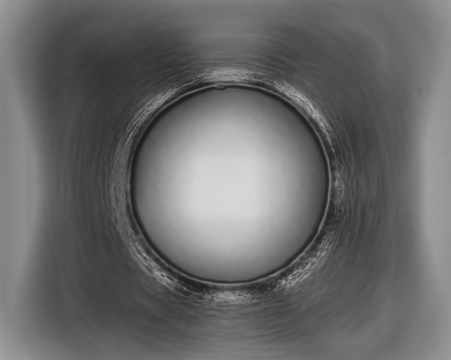X0000116600529200912181148
