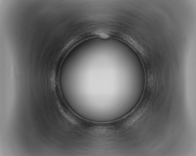 X0000116600530200912181148
