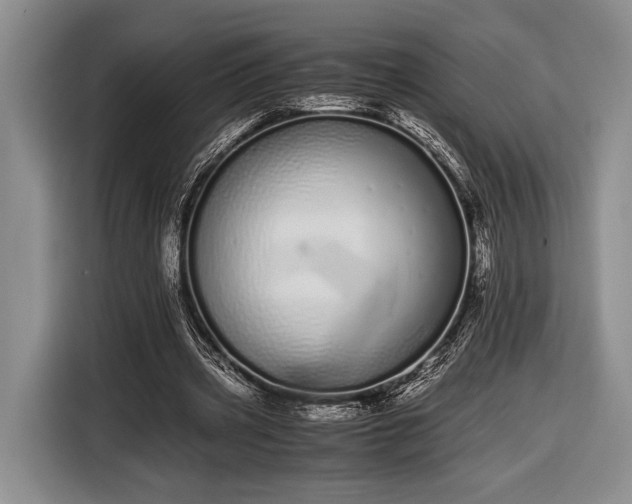 X0000116600533200912181148