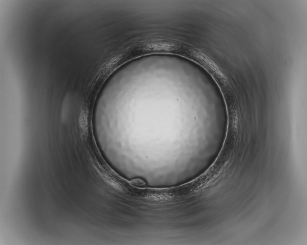 X0000116600537200912181148