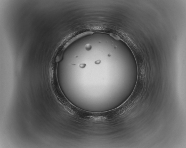 X0000116600539200912181148