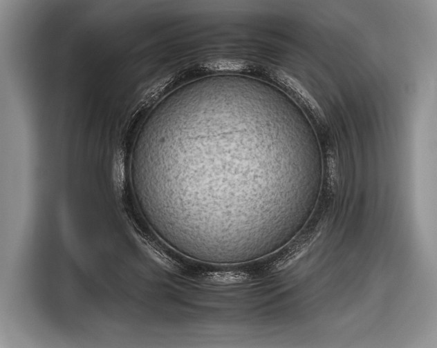 X0000116600541200912181148