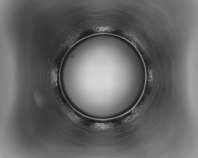 X0000116600545200912181148