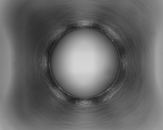 X0000116600546200912181148