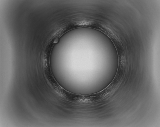 X0000116600547200912181148