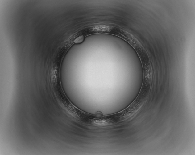 X0000116600551200912181148