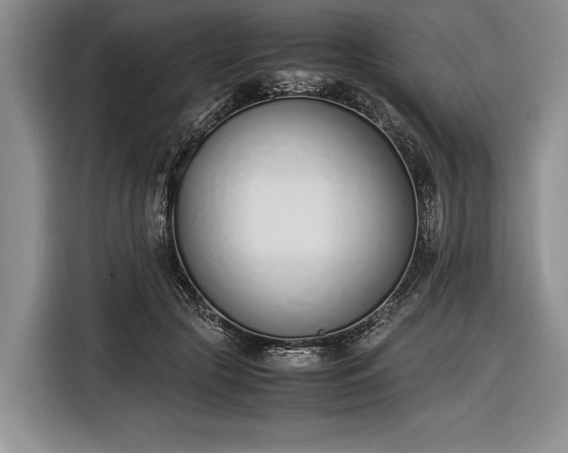 X0000116600553200912181148