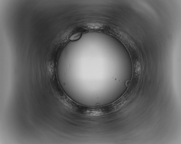 X0000116600559200912181148
