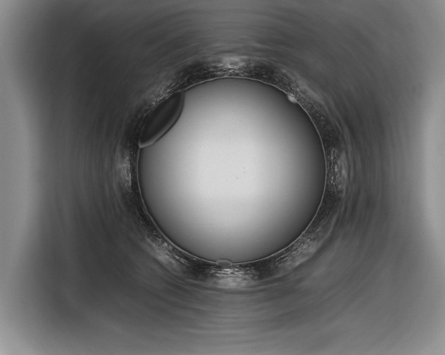 X0000116600562200912181148