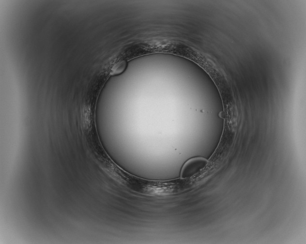 X0000116600563200912181148