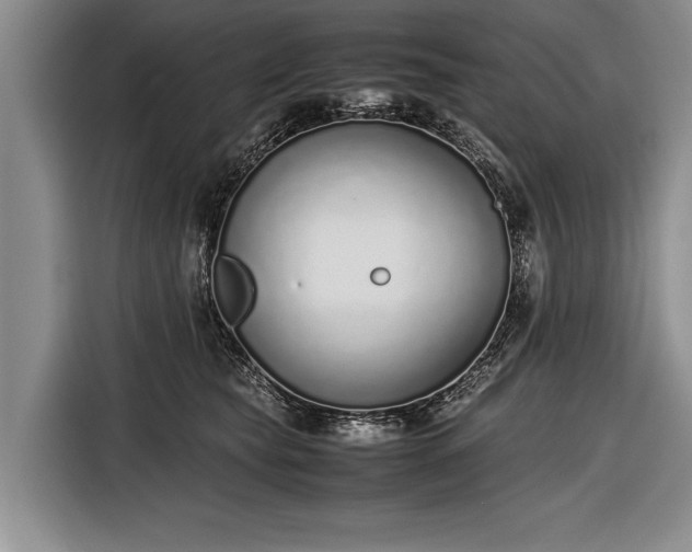 X0000116600565200912181148