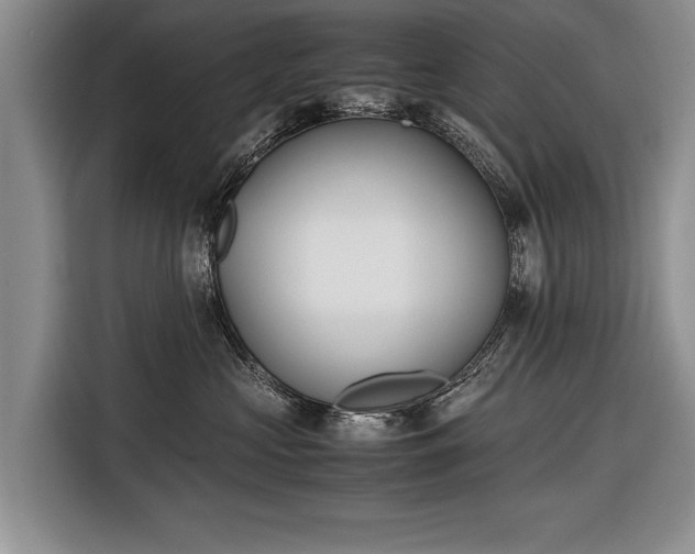 X0000116600573200912181148