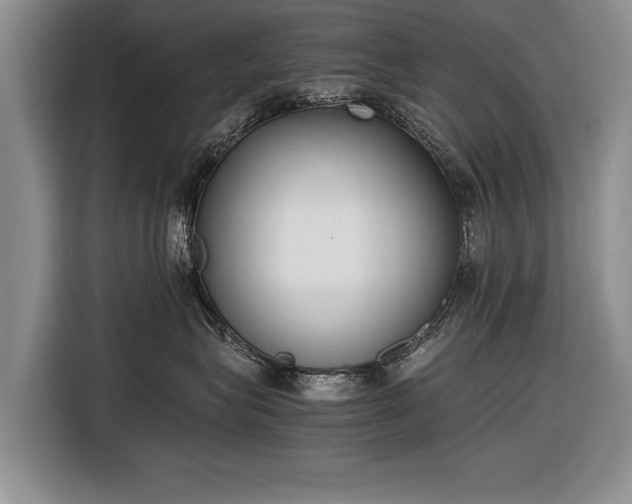 X0000116600575200912181148