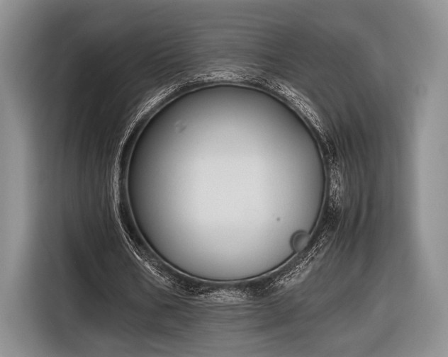 X0000116600578200912181148
