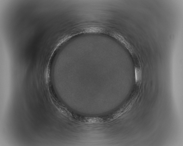 X0000116600579200912181148