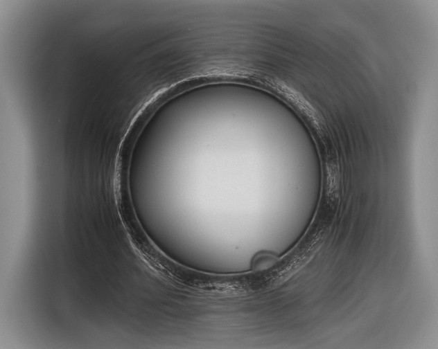 X0000116600580200912181148