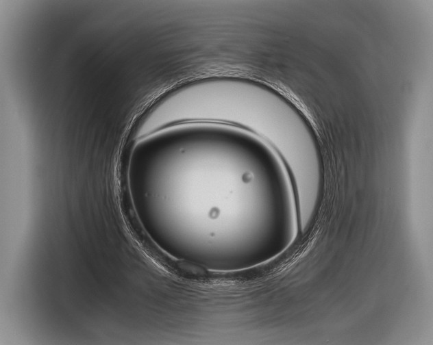 X0000116600581200912181148