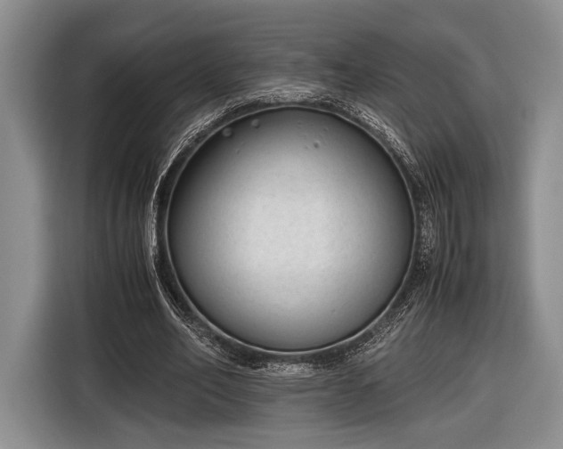 X0000116600582200912181148