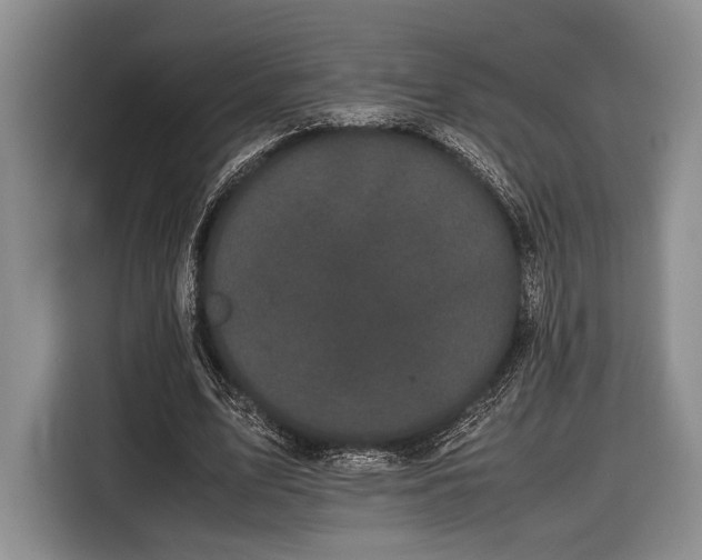 X0000116600583200912181148