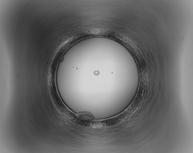 X0000116600587200912181148