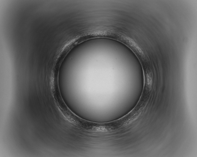 X0000116600588200912181148
