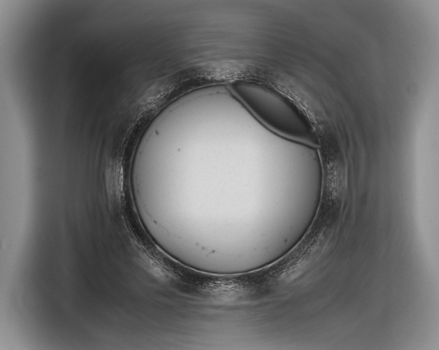 X0000116600589200912181148