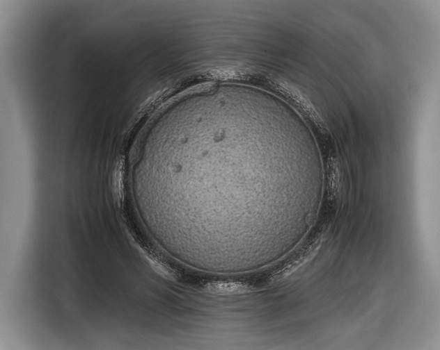 X0000116600590200912181148