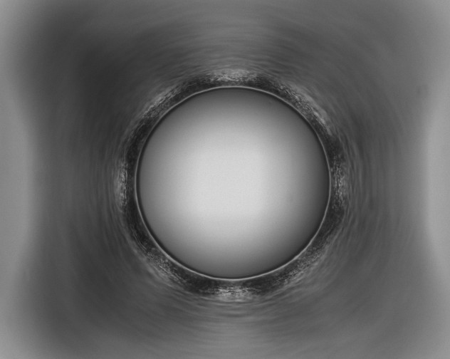 X0000116600591200912181148