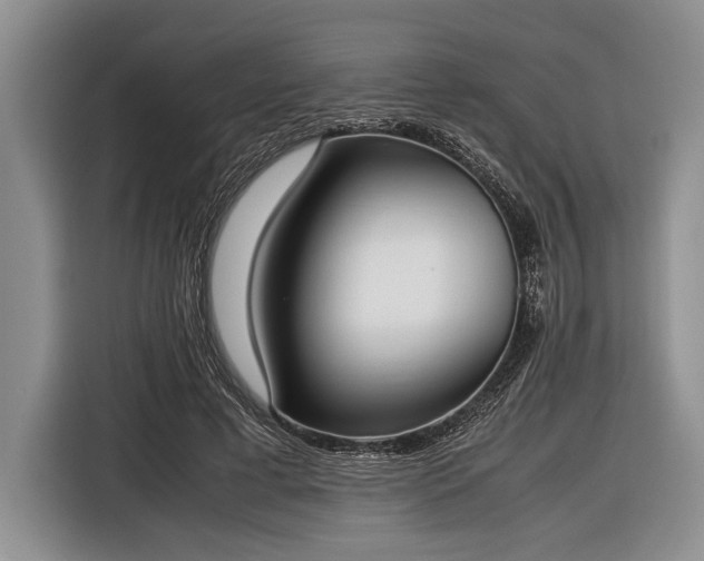 X0000116600593200912181148