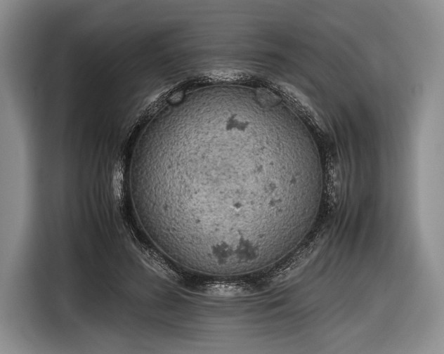 X0000116600596200912181147