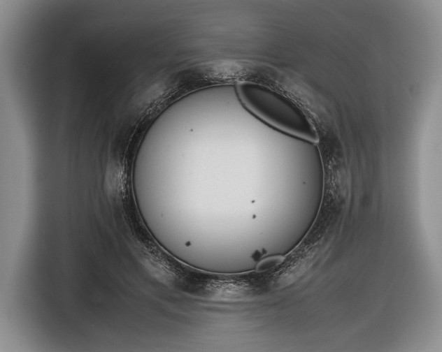 X0000116600597200912181147