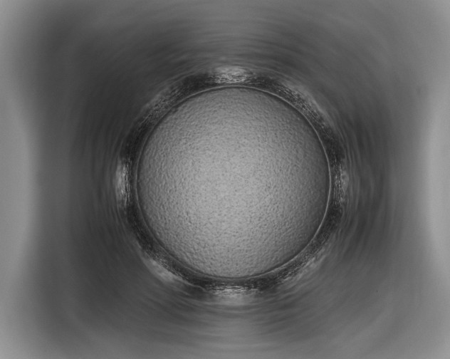 X0000116600598200912181147