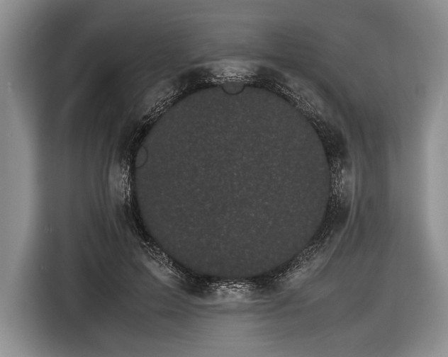 X0000116600599200912181147