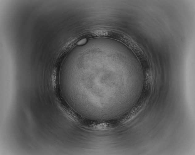 X0000116600600200912181147