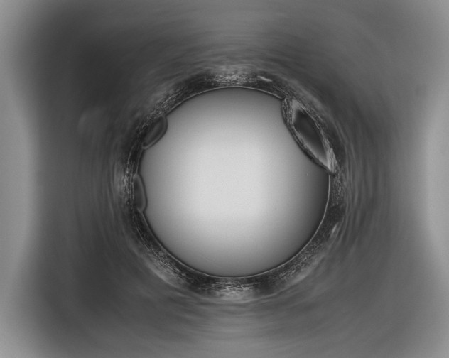 X0000116600601200912181147
