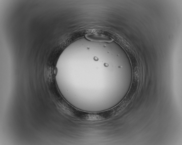 X0000116600605200912181147