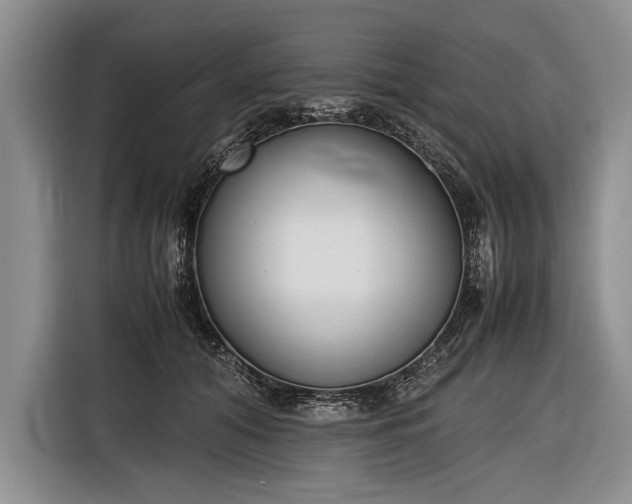 X0000116600608200912181147