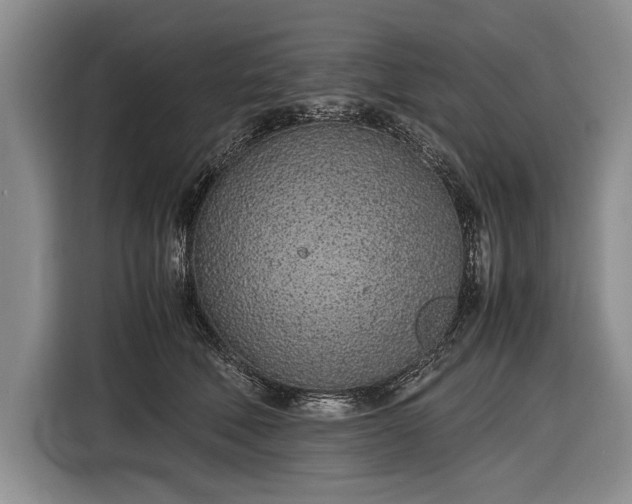 X0000116600610200912181147