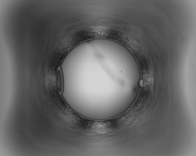 X0000116600613200912181147