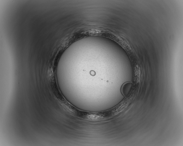 X0000116600614200912181147