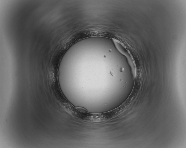X0000116600615200912181147