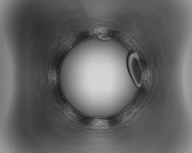 X0000116600617200912181147