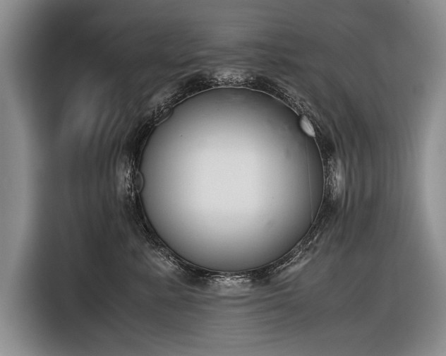 X0000116600619200912181147