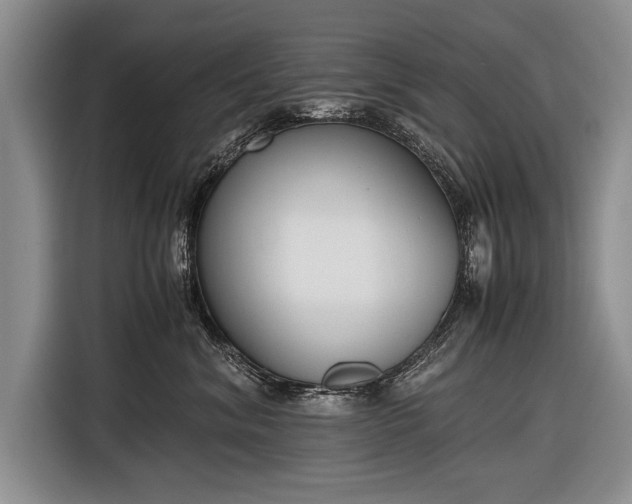 X0000116600620200912181147