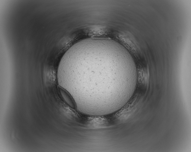 X0000116600621200912181147