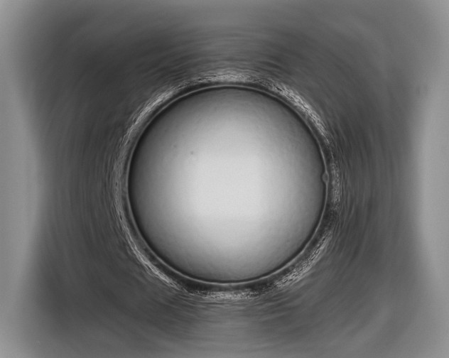 X0000116600625200912181146