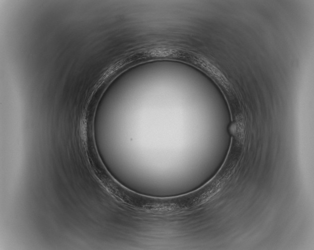 X0000116600626200912181146