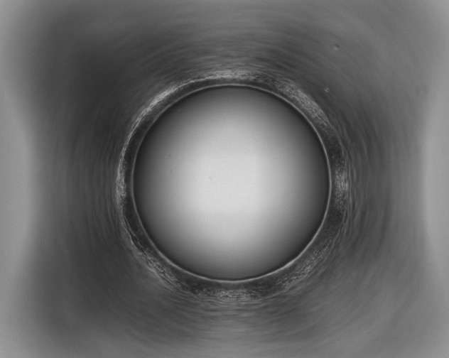 X0000116600628200912181147